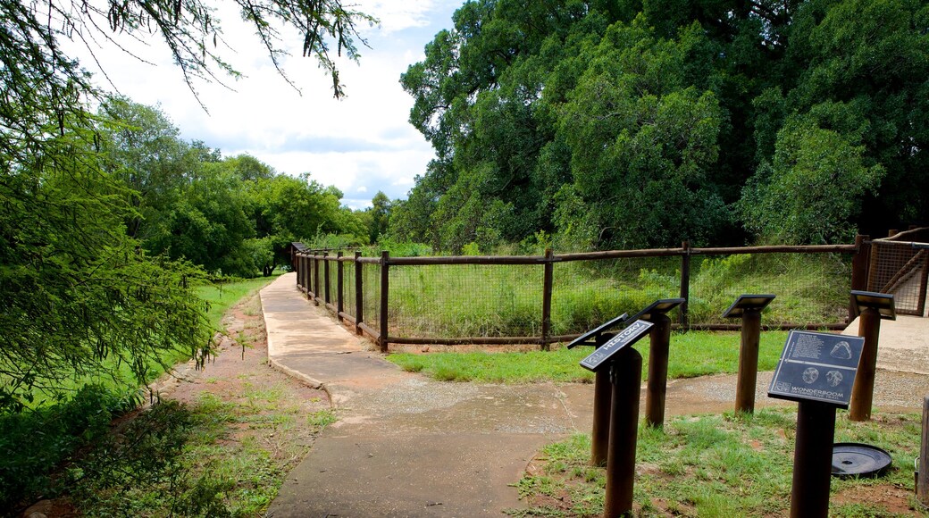 Wonderboom Nature Reserve das einen Landschaften, Garten und Beschilderung