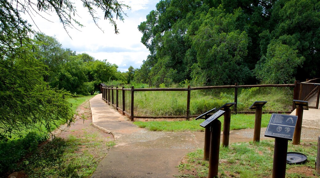 Wonderboom Nature Reserve showing a garden, signage and landscape views