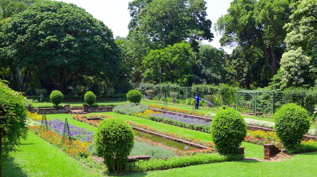 Durbans botaniska trädgårdar som inkluderar blommor och en trädgård