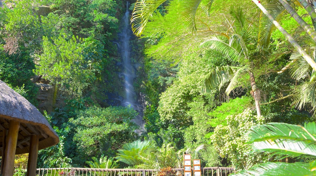 Umgeni River Bird Park showing a waterfall and a garden