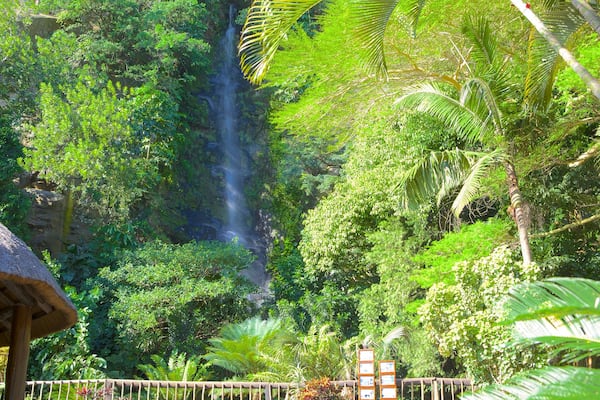 ウムゲニ リバー バード パーク フィーチャー 公園 と 滝