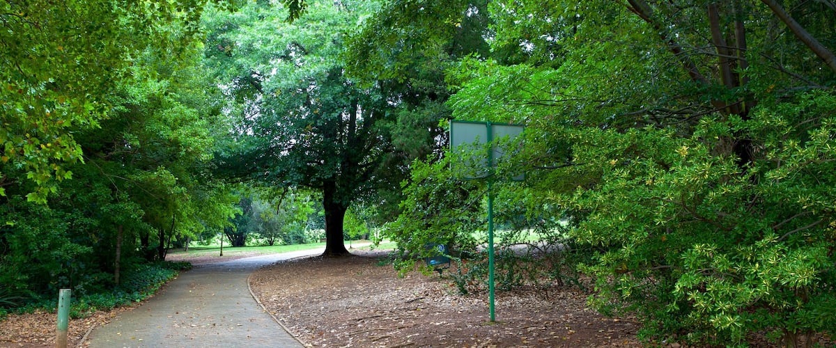 Johannesburg Botanical Garden which includes a park