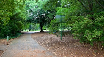 Jardín botánico de Johannesburgo ofreciendo un jardín