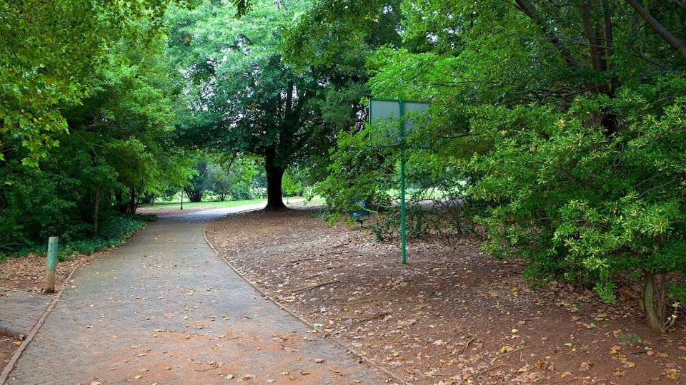 Johannesburg Botanical Garden which includes a park