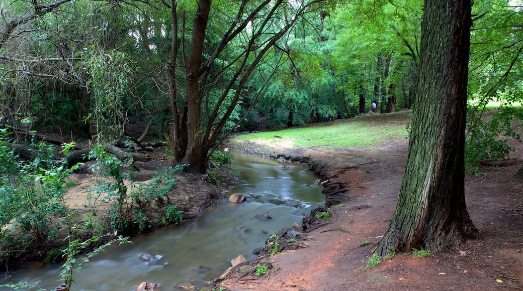 Johannesburg Botanical Garden featuring a river or creek, forests and a garden