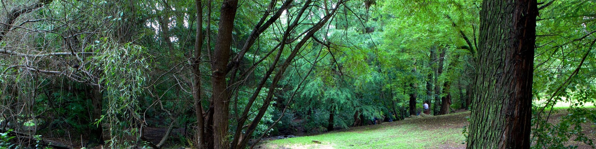Johannesburg Botanical Garden which includes a river or creek, forest scenes and a garden