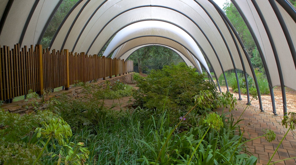 Jardín botánico de Johannesburgo que incluye un parque