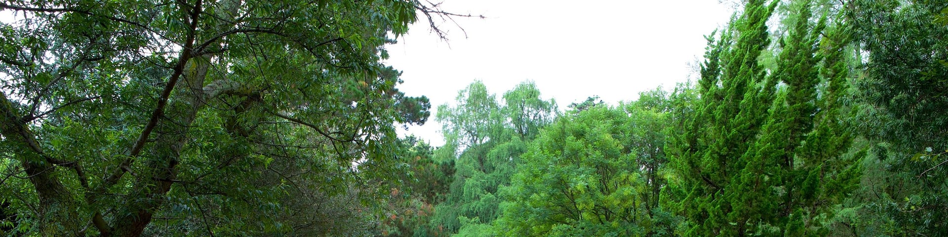 Johannesburg Botanical Garden which includes a garden