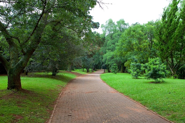 Jardin botanique de Johannesburg qui includes jardin