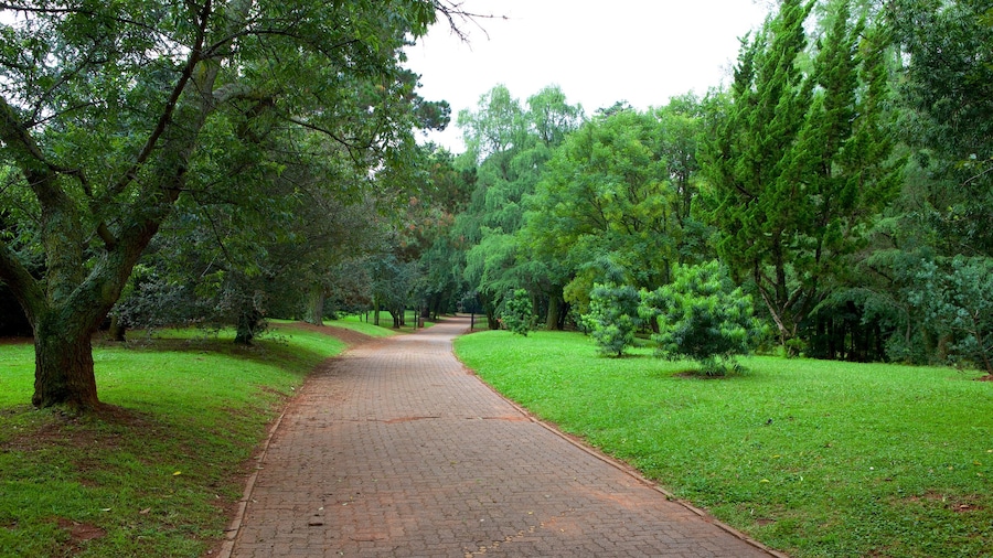 Johannesburg Botanical Garden which includes a garden