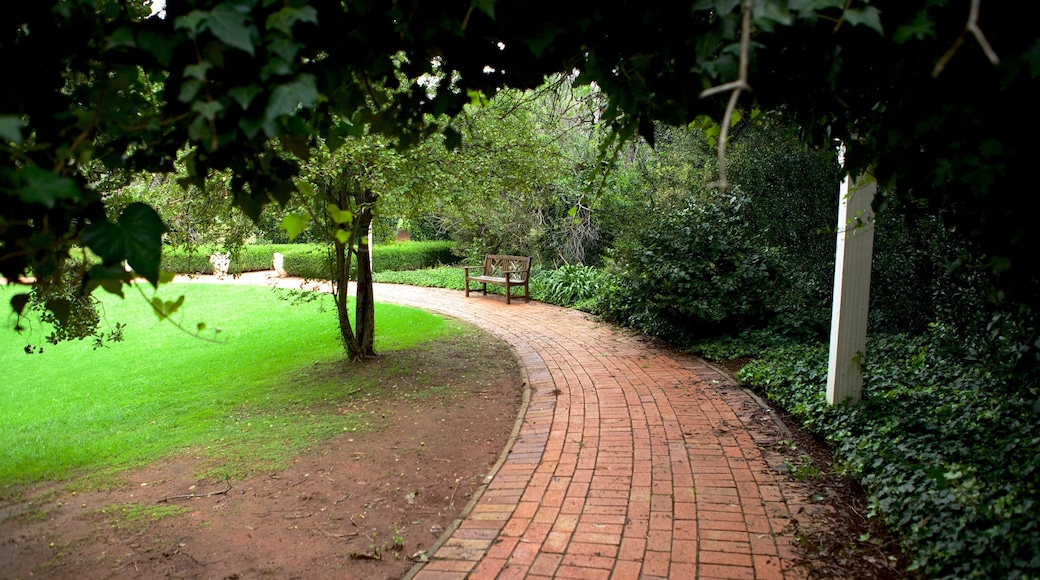 Johannesburg Botanical Garden som inkluderar en park