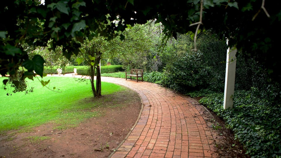 Jardín botánico de Johannesburgo mostrando un jardín