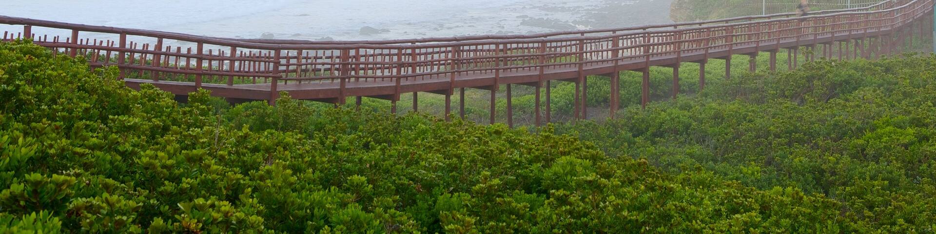 Nahoon Beach showing a bridge, general coastal views and mist or fog