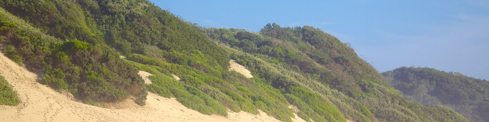 Nahoon Beach showing surfing, a sandy beach and general coastal views