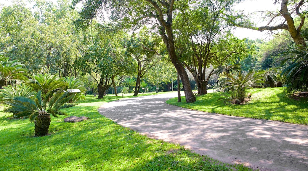 Jardín Botánico Lowveld que incluye un parque