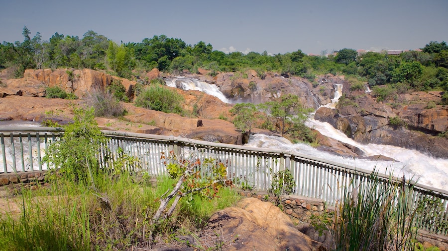 Lowveld National Botanical Garden