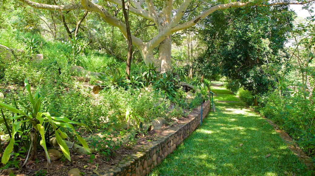 Jardim Botânico Lowveld que inclui um parque