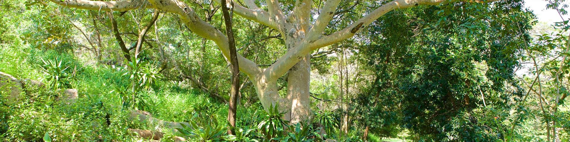 Lowveld Botanical Garden which includes a garden