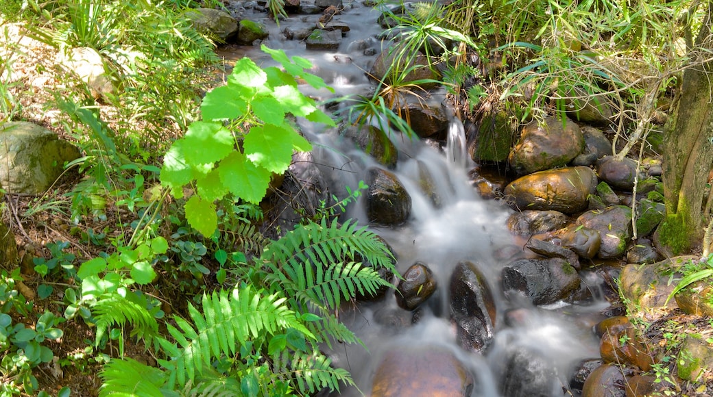 Lowveld Botanical Garden which includes rapids and a park