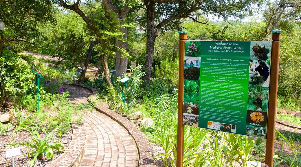 Jardim Botânico Lowveld que inclui um parque e paisagem