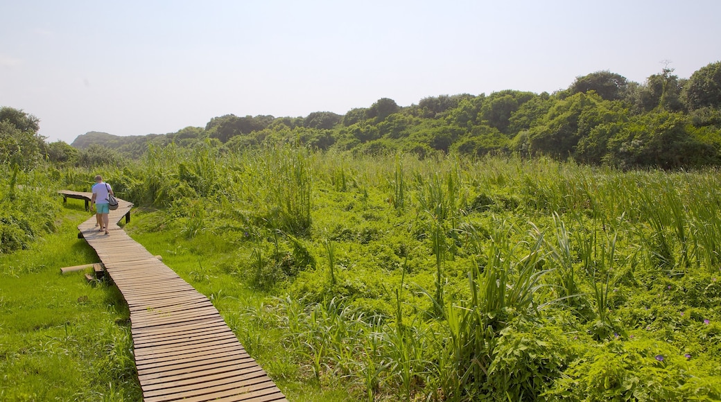 Umhlanga Lagoon Nature Trail