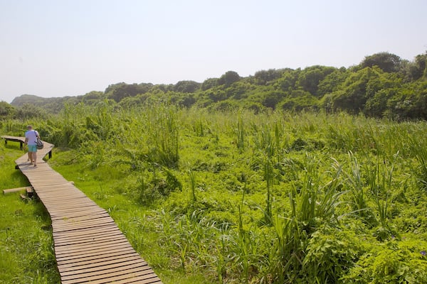 Activité ludique Umhlanga Lagoon Nature Trail qui includes parc, randonnée ou marche à pied et panoramas