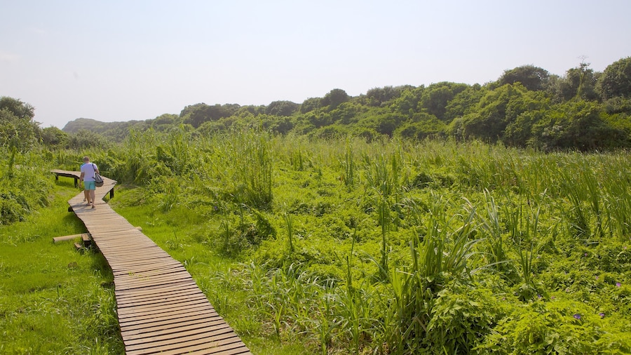 Umhlanga Lagoon Nature Trail inclusief hiken of wandelen, een park en landschappen