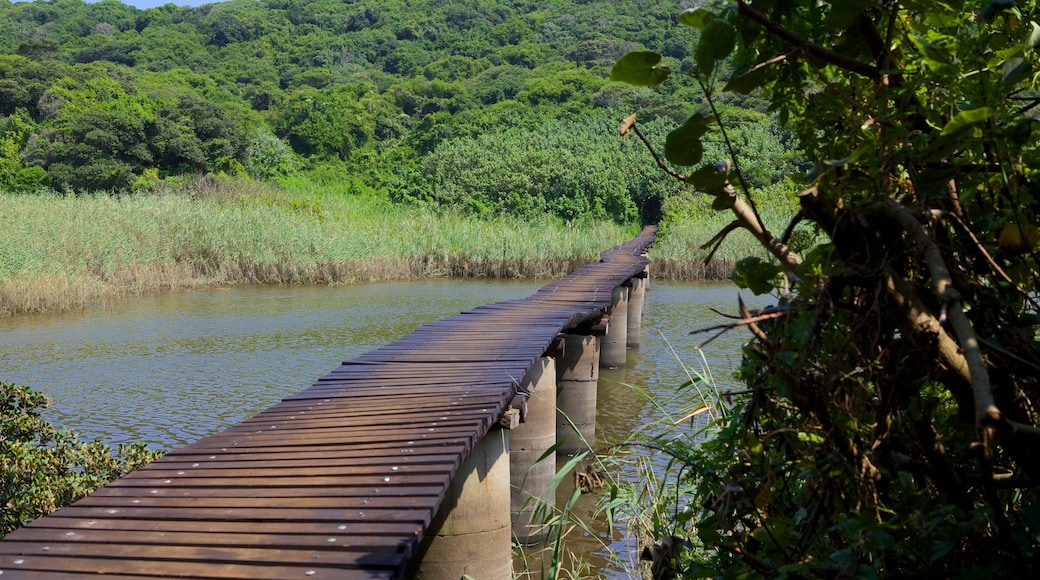 เส้นทางธรรมชาติ Umhlanga Lagoon เนื้อเรื่องที่ วิวทิวทัศน์, ทะเลสาบหรือแอ่งน้ำ และ ป่า