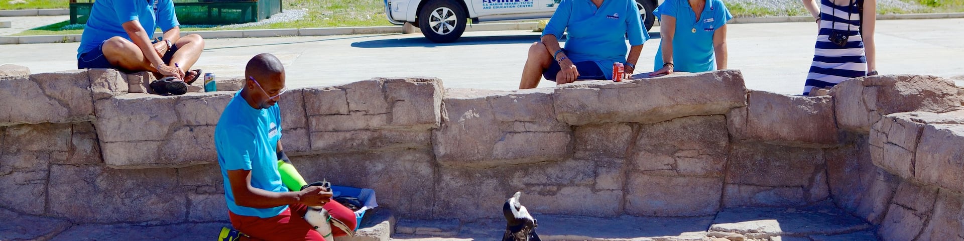 Port Elizabeth featuring bird life as well as a small group of people