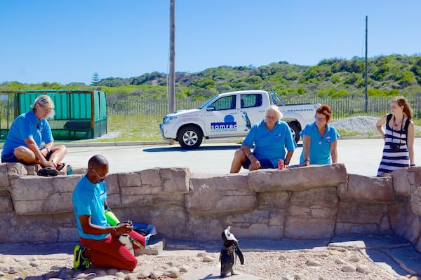 Port Elizabeth welches beinhaltet Vögel sowie kleine Menschengruppe