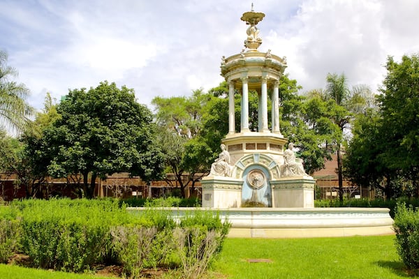 National Zoological Gardens of South Africa qui includes parc et monument