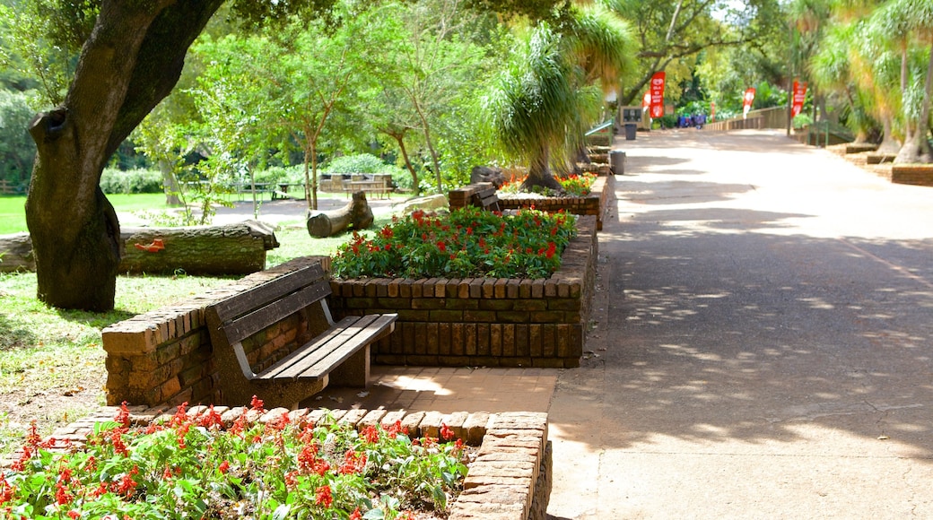 Jardim Zoológico Nacional da África do Sul caracterizando um jardim e paisagem