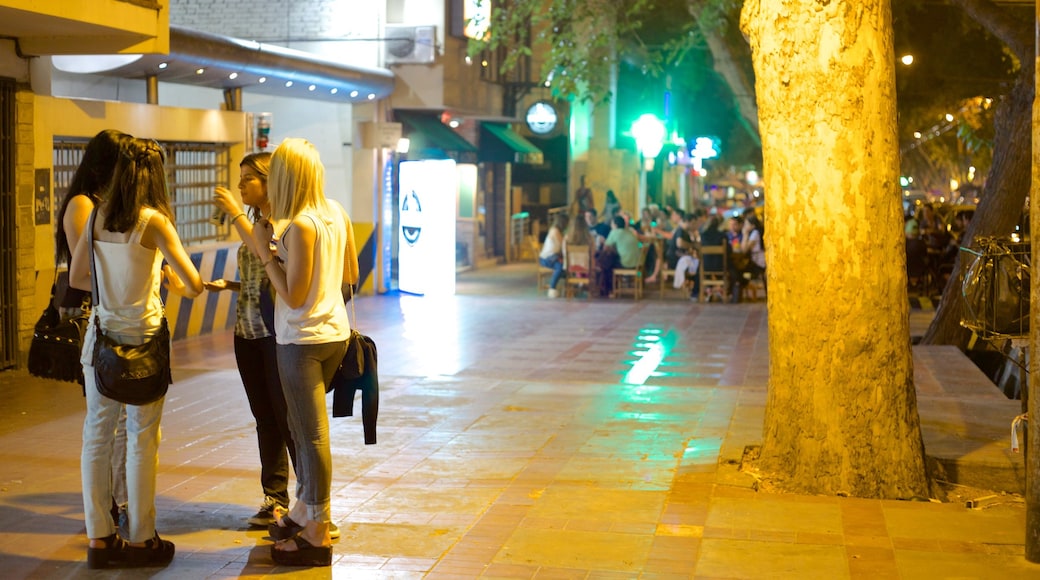 Mendoza showing nightlife, street scenes and a city