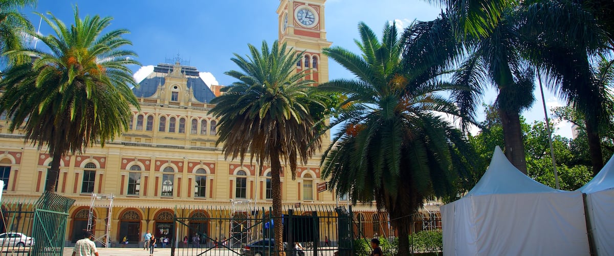 Itajai which includes a church or cathedral, heritage architecture and a city