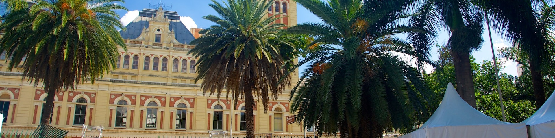 聖卡塔琳娜, 巴西