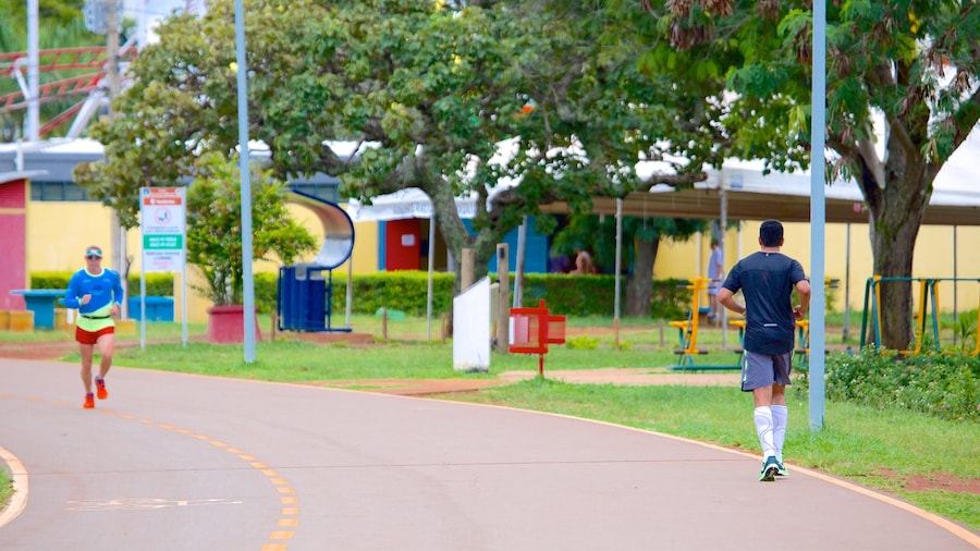 City Park showing a garden