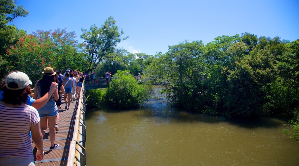 Garganta do Diabo que inclui paisagens, uma ponte e um rio ou córrego