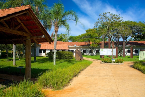 Ecomuseum featuring a garden