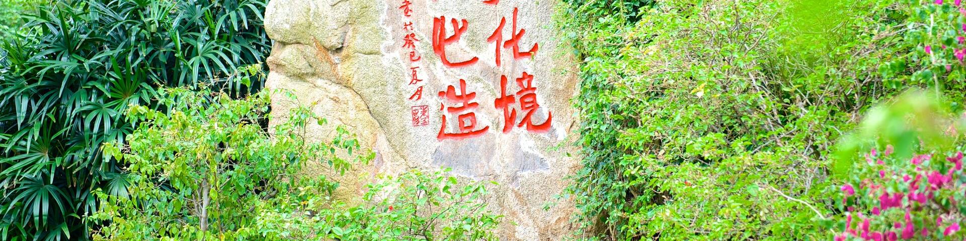 Wanshi Botanical Garden showing a garden, flowers and wildflowers