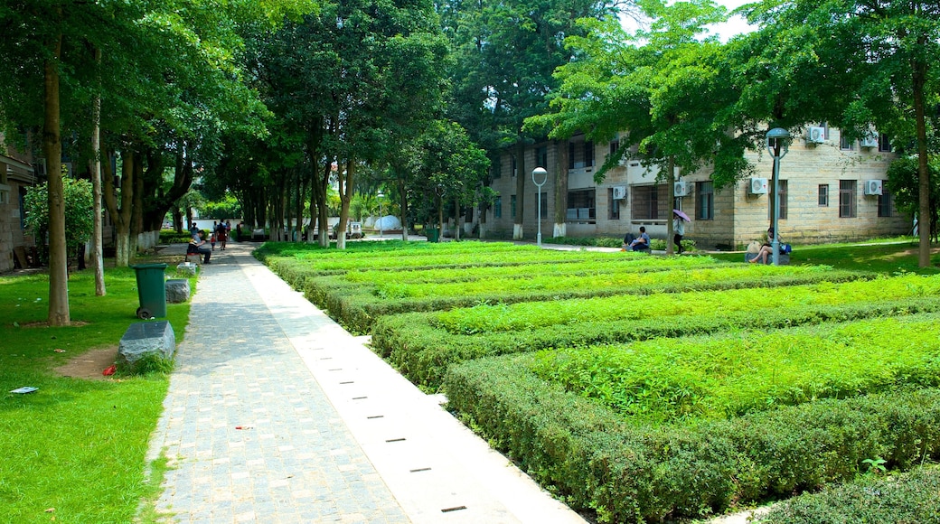 Gulangyu Island toont een tuin en landschappen