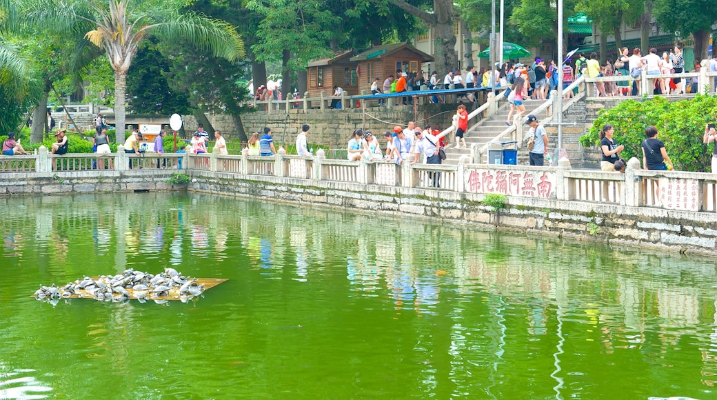 Nanputuo Temple featuring religious aspects, a pond and a temple or place of worship