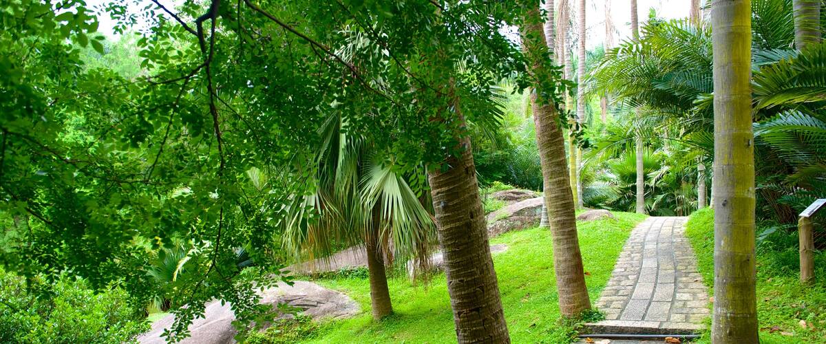 Wanshi Botanical Garden showing a garden