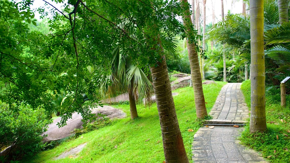 Wanshi Botanical Garden featuring a garden