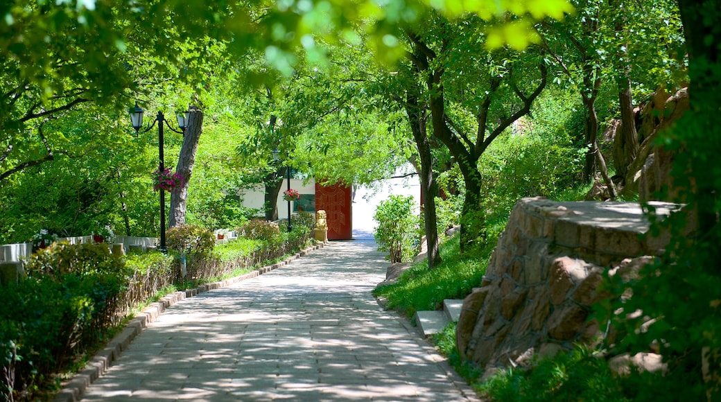 Parque Xiaoyushan que incluye un jardín