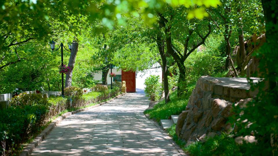 Xiaoyushan Park showing a park