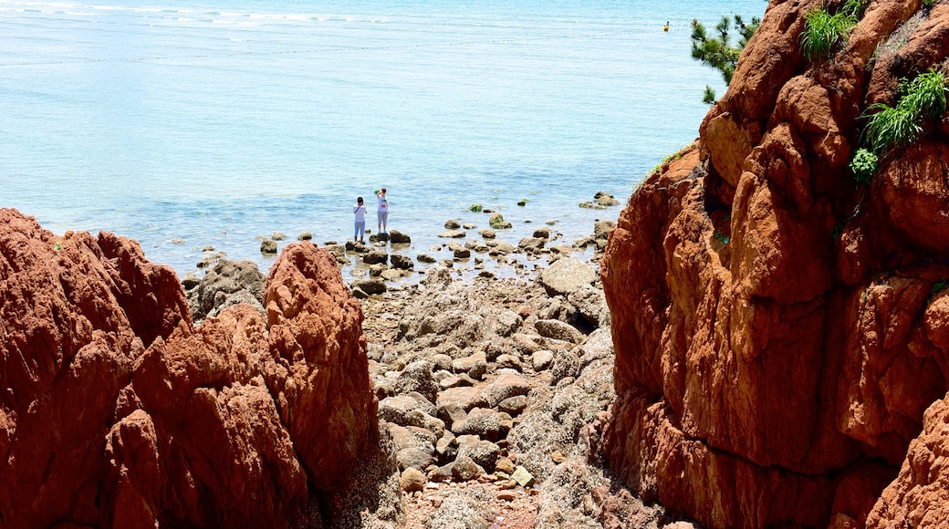 第一海水浴場 呈现出 鵝卵石海灘 和 崎嶇的海岸線