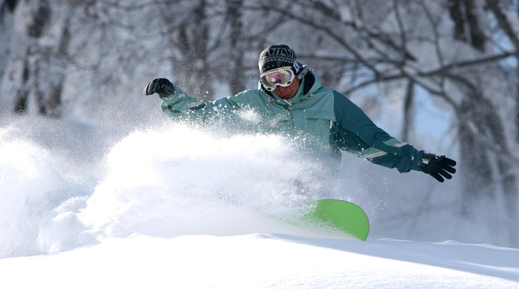 Photo fournie par JNTO