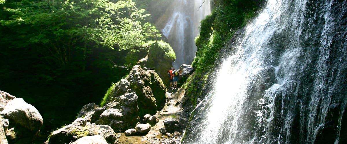 Nagano que incluye una cascada
