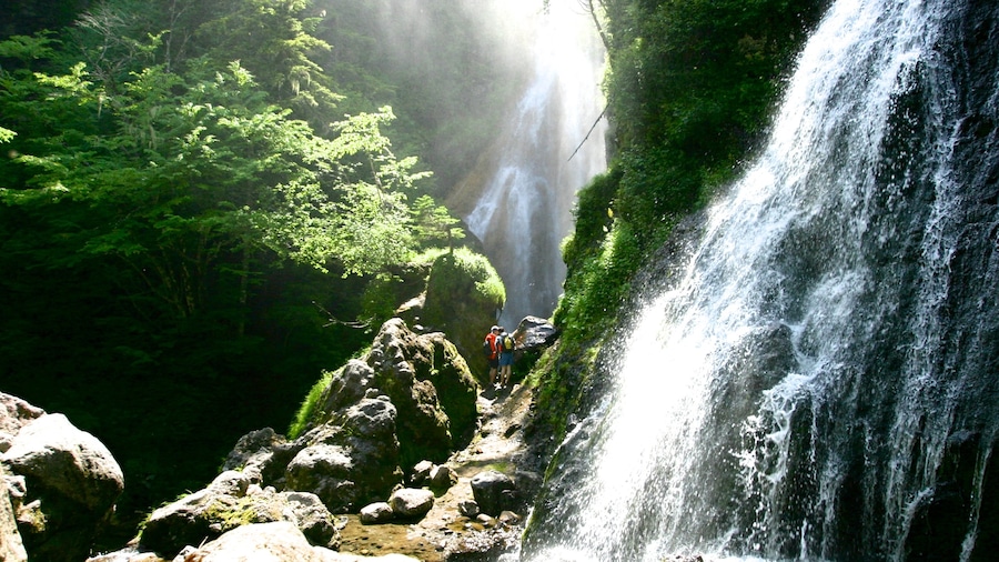 Nagano mostrando una catarata
