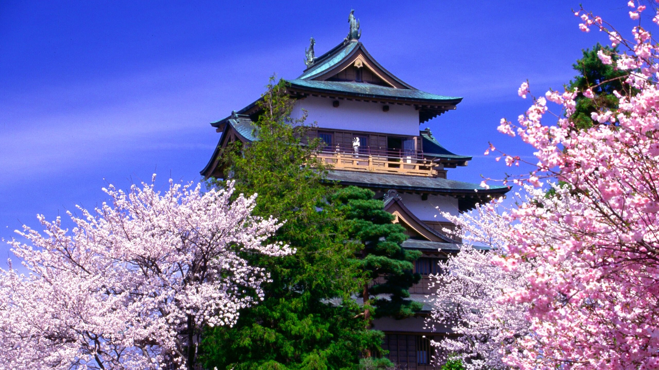 Nagano showing flowers, a temple or place of worship and heritage architecture